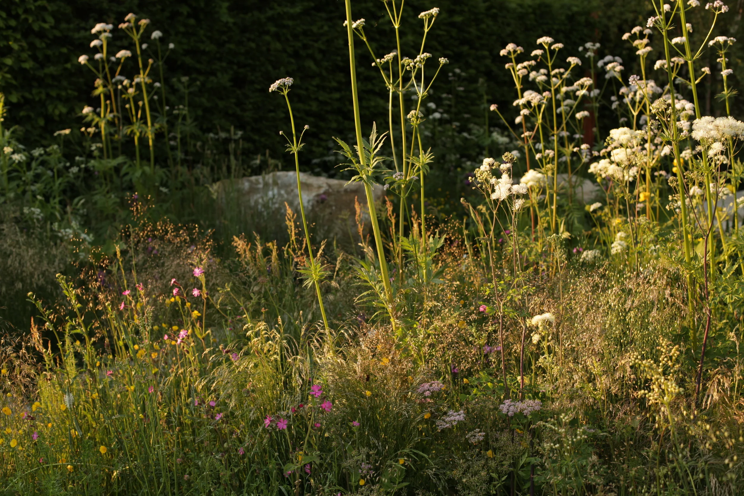 SPL_05_RHSChelsea2012.jpg