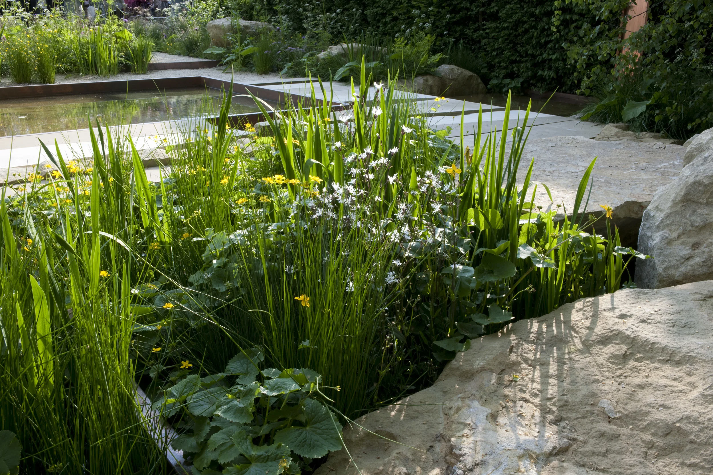 SPL_07_RHSChelsea2012.jpg
