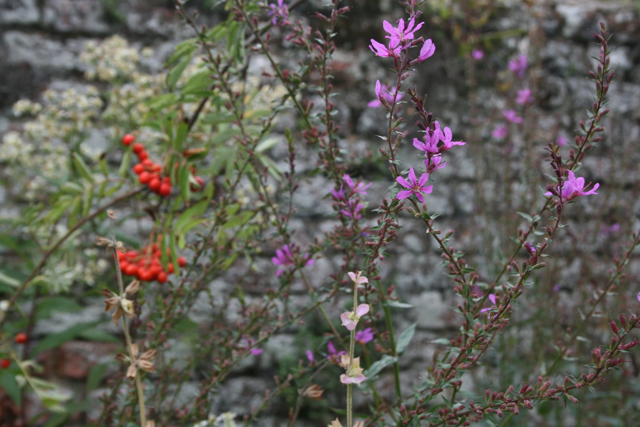 SPL_05_TattershallCastle_Lincolnshire.jpg