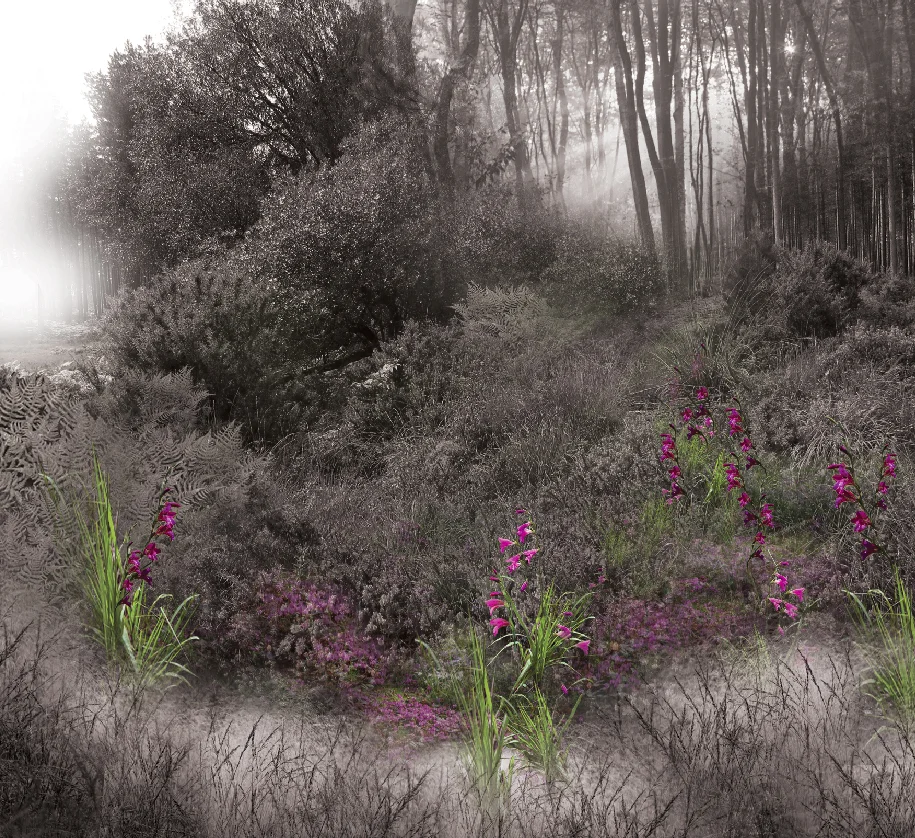 SPL_02_Maggie'sCentre_Southampton.jpg