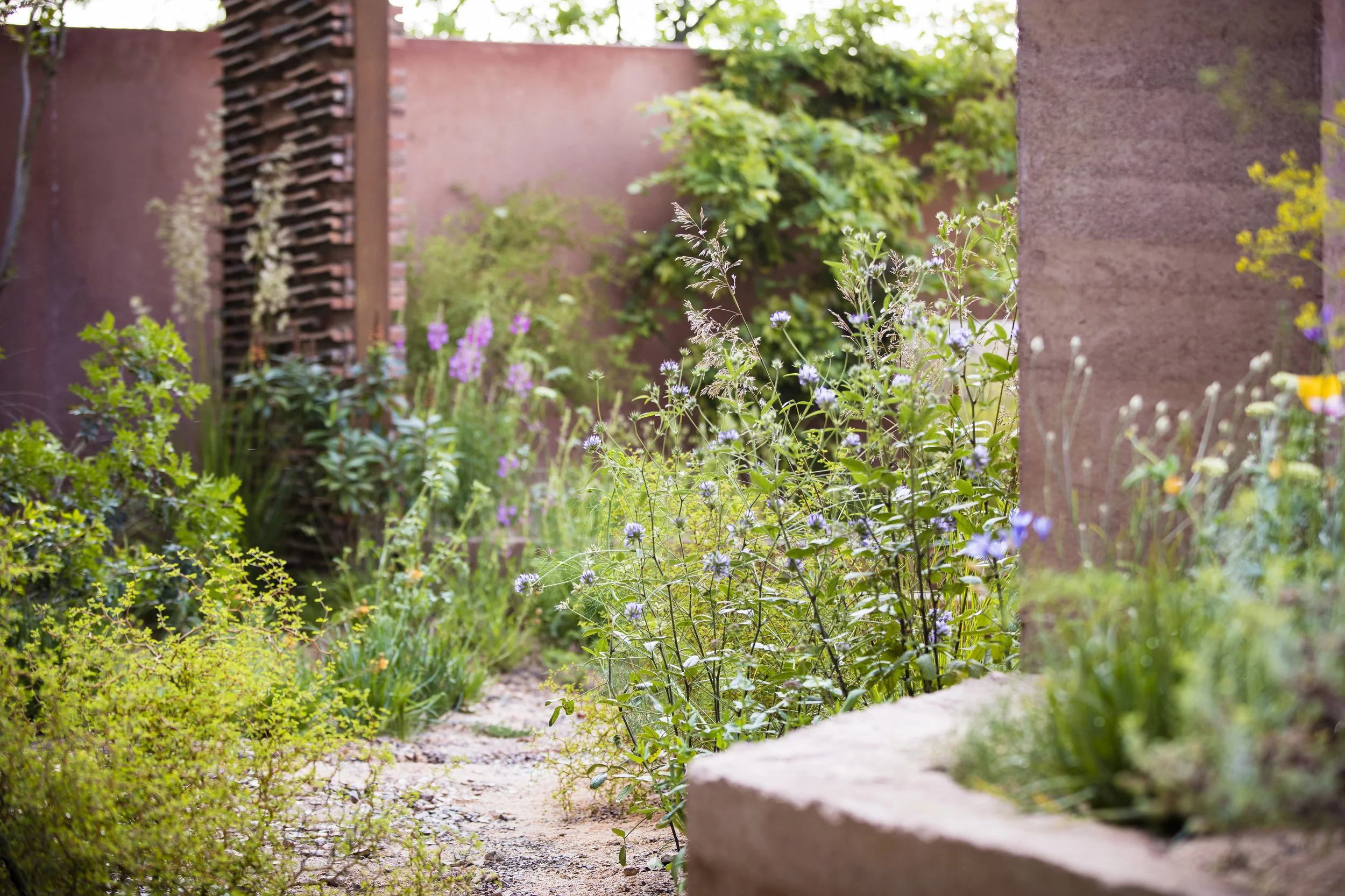 SPL_06_RHSChelsea2018.jpg