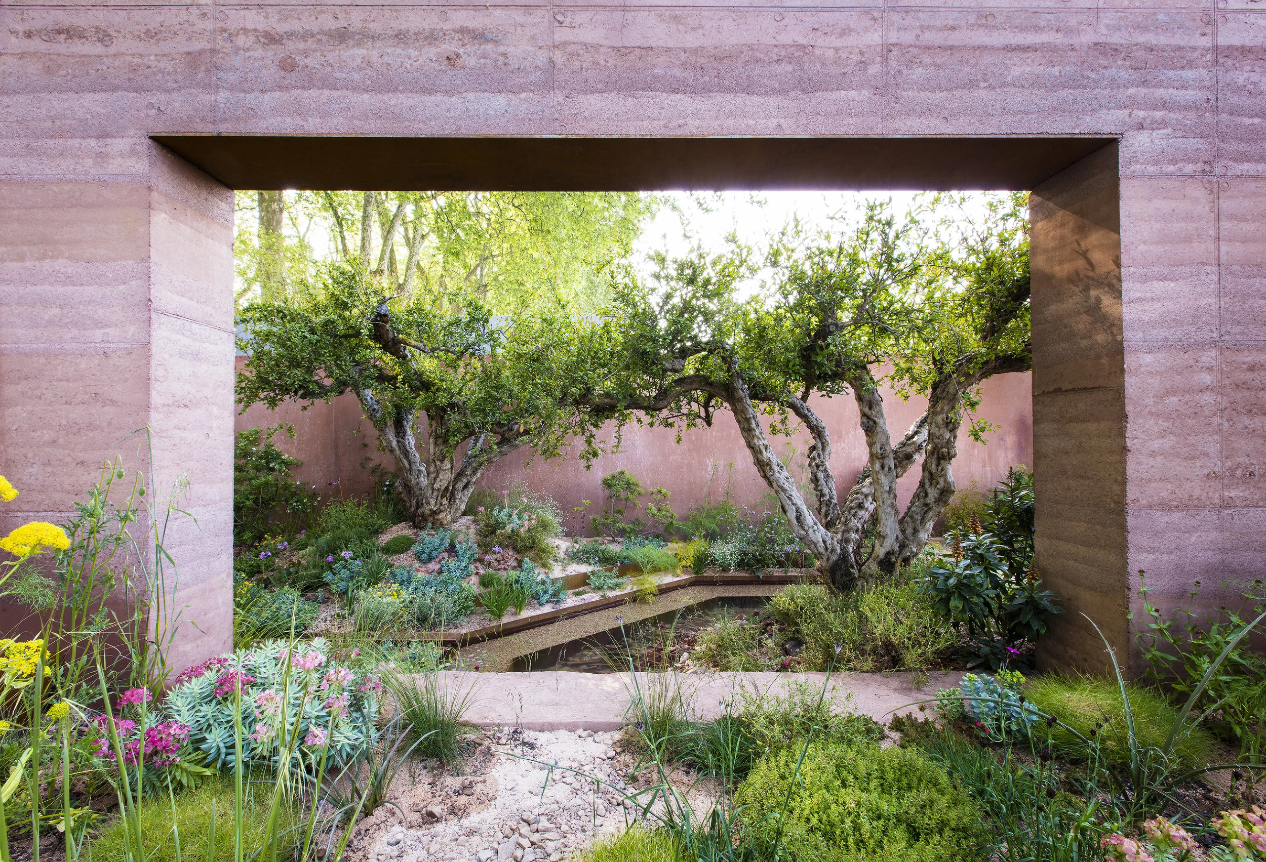 SPL_05_RHSChelsea2018.jpg