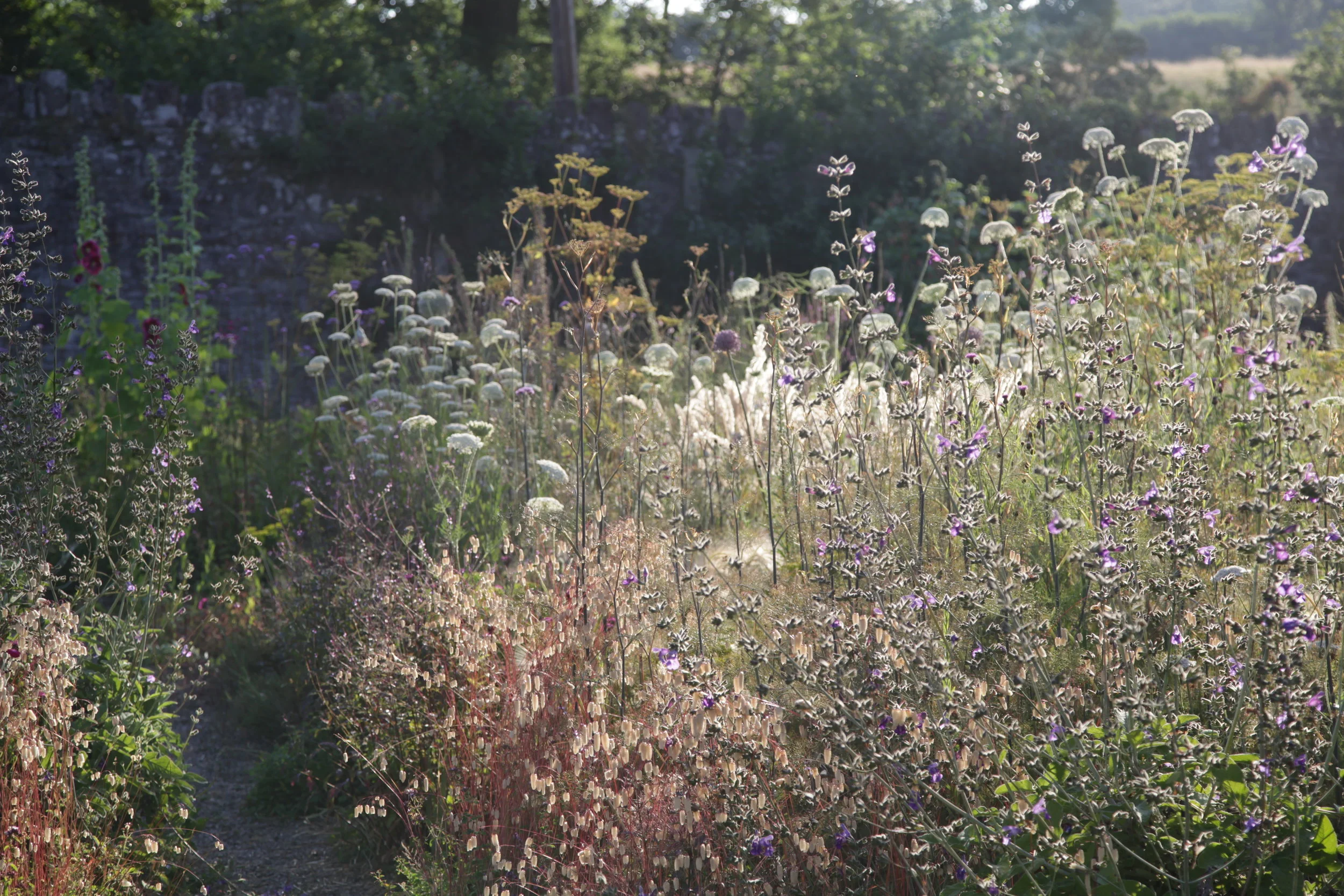 SPL_01_TheChain_Monmouthshire.jpg