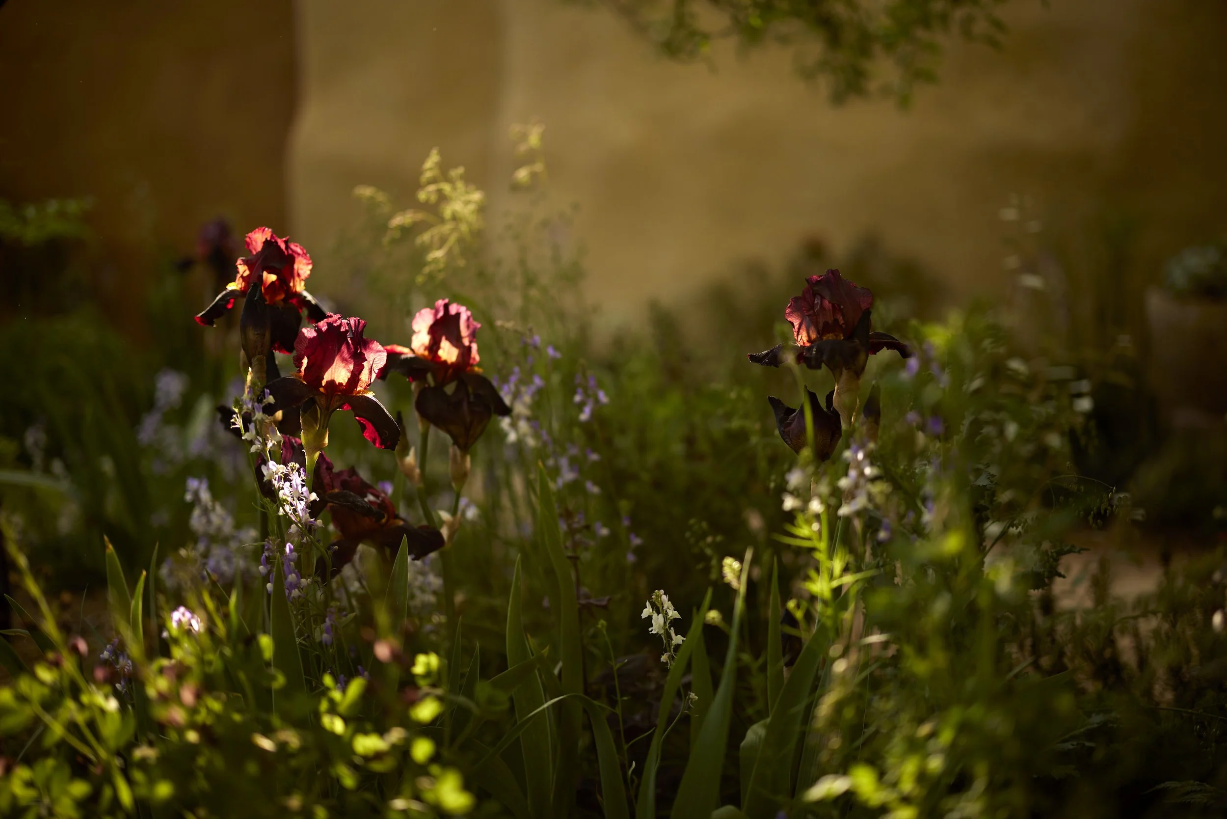 Sarah Price Landscapes