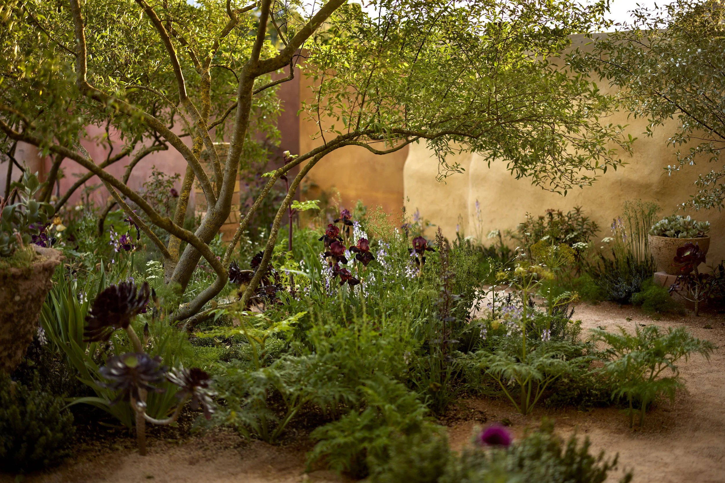 Sarah Price Landscapes — image 2
