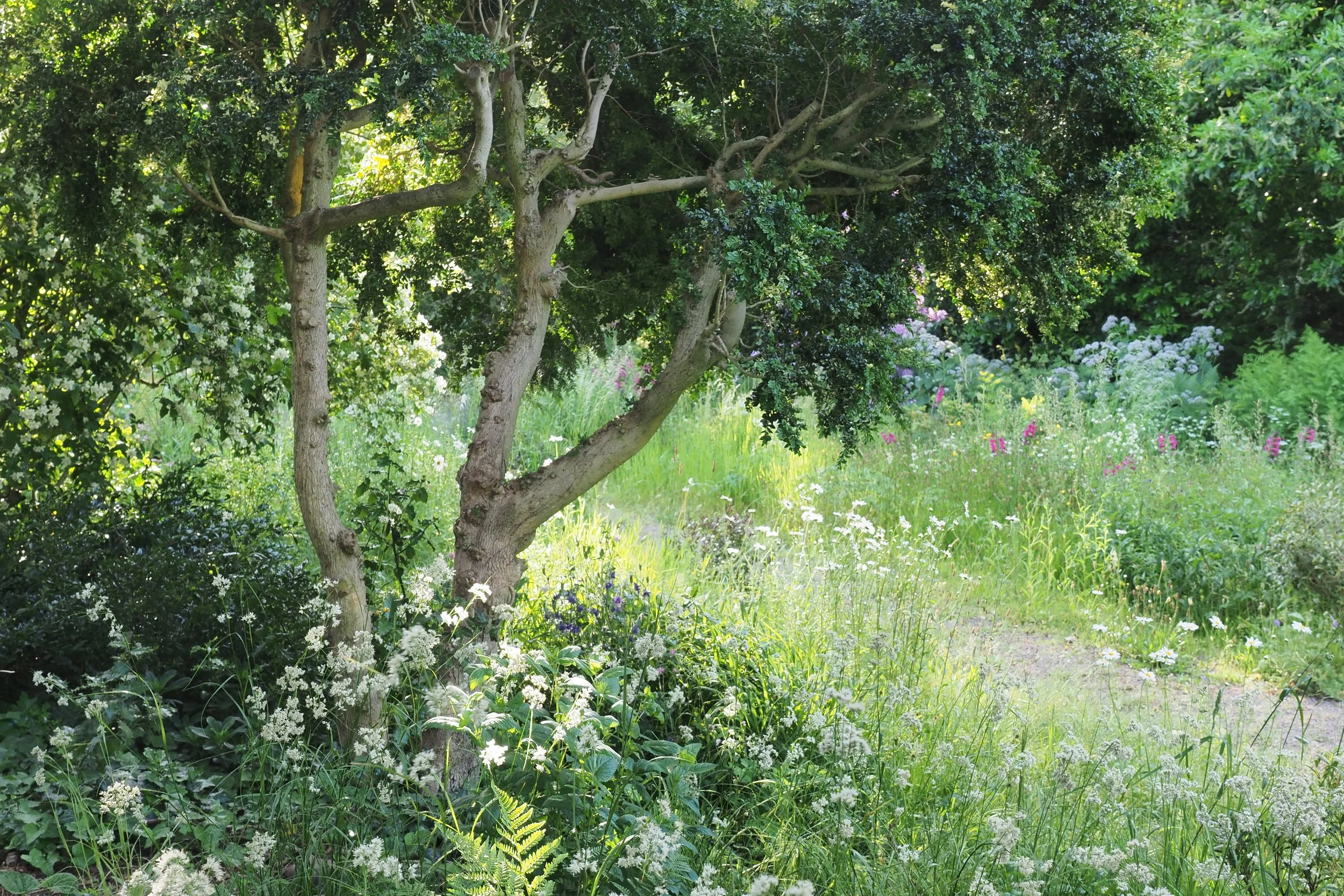 FOR SLIDESHOW Mock up IMG_7991_V1.jpg