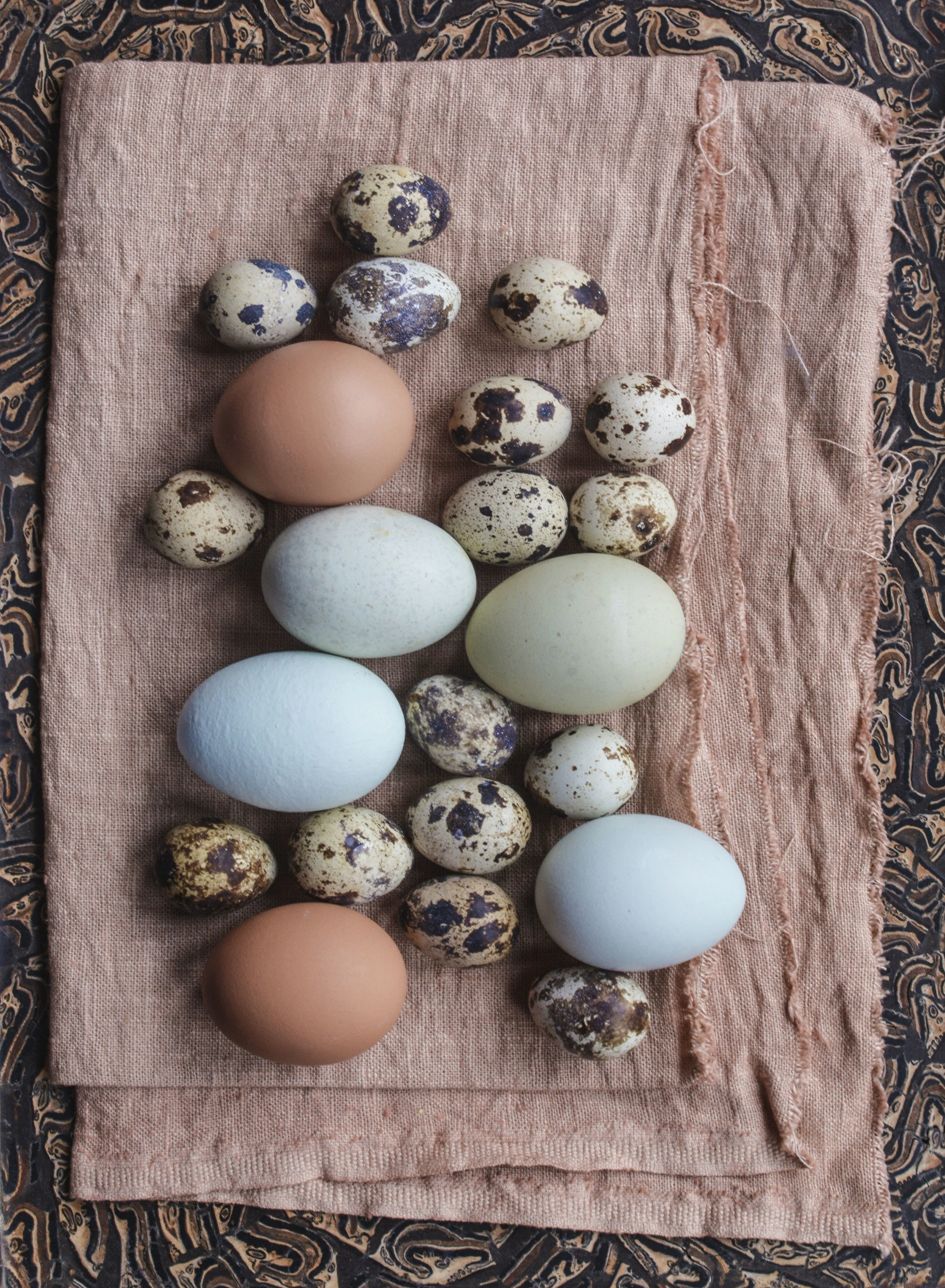 0014 ©annastarmer WEBSITE STILL LIFE 2018 low res.jpg