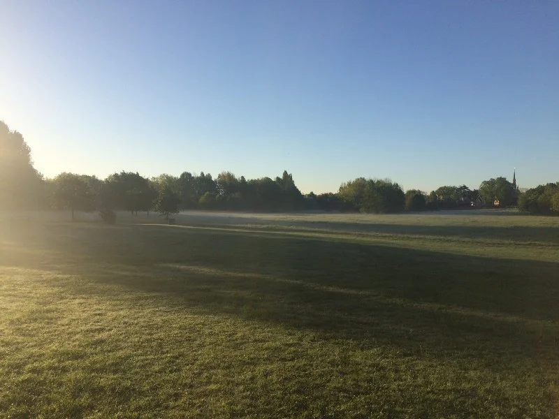 Misty meadow, all mine.