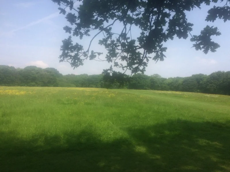 Eltham Park North; It’s a park, in Eltham, specifically the north part of Eltham.