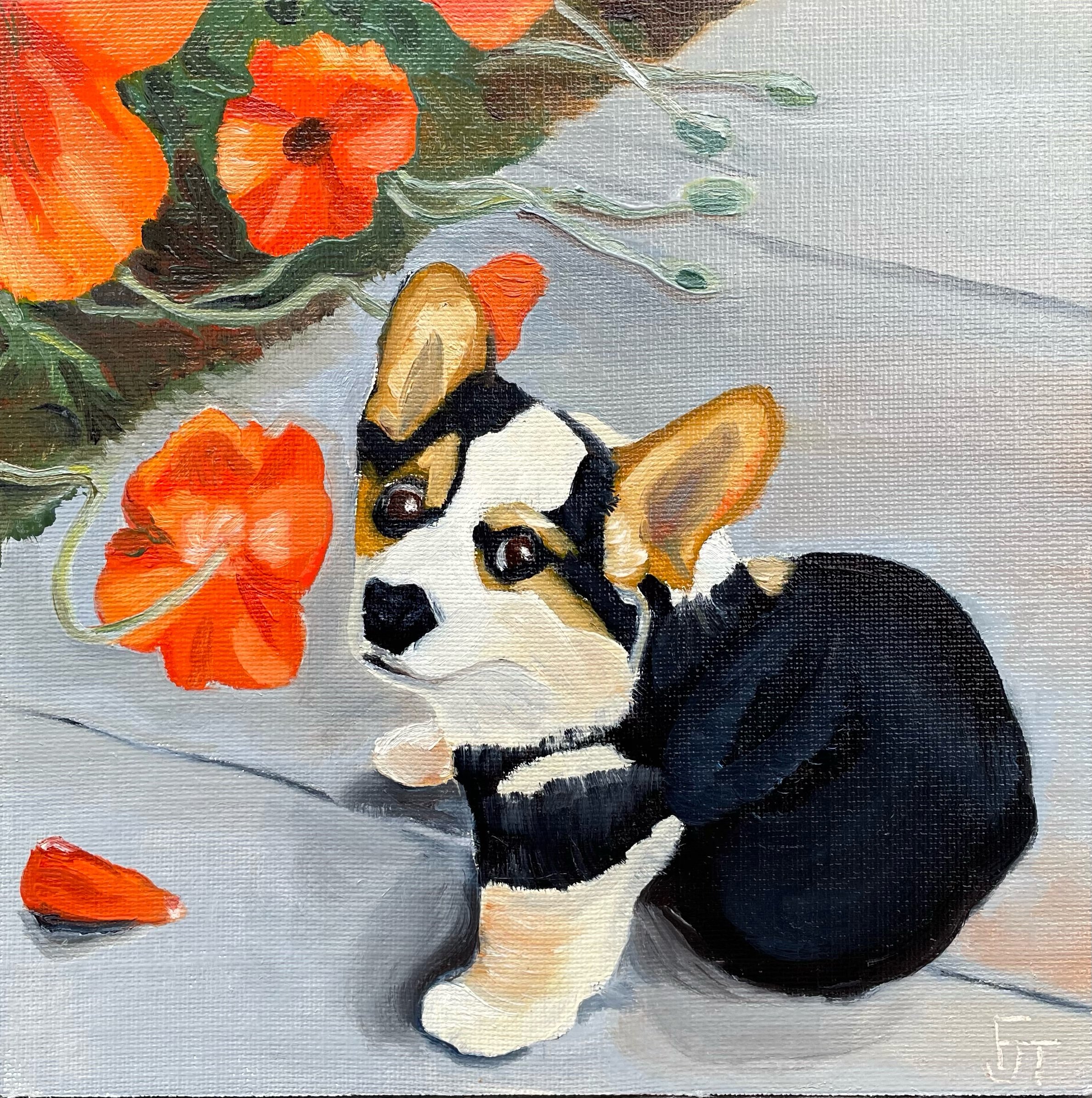 Poppies