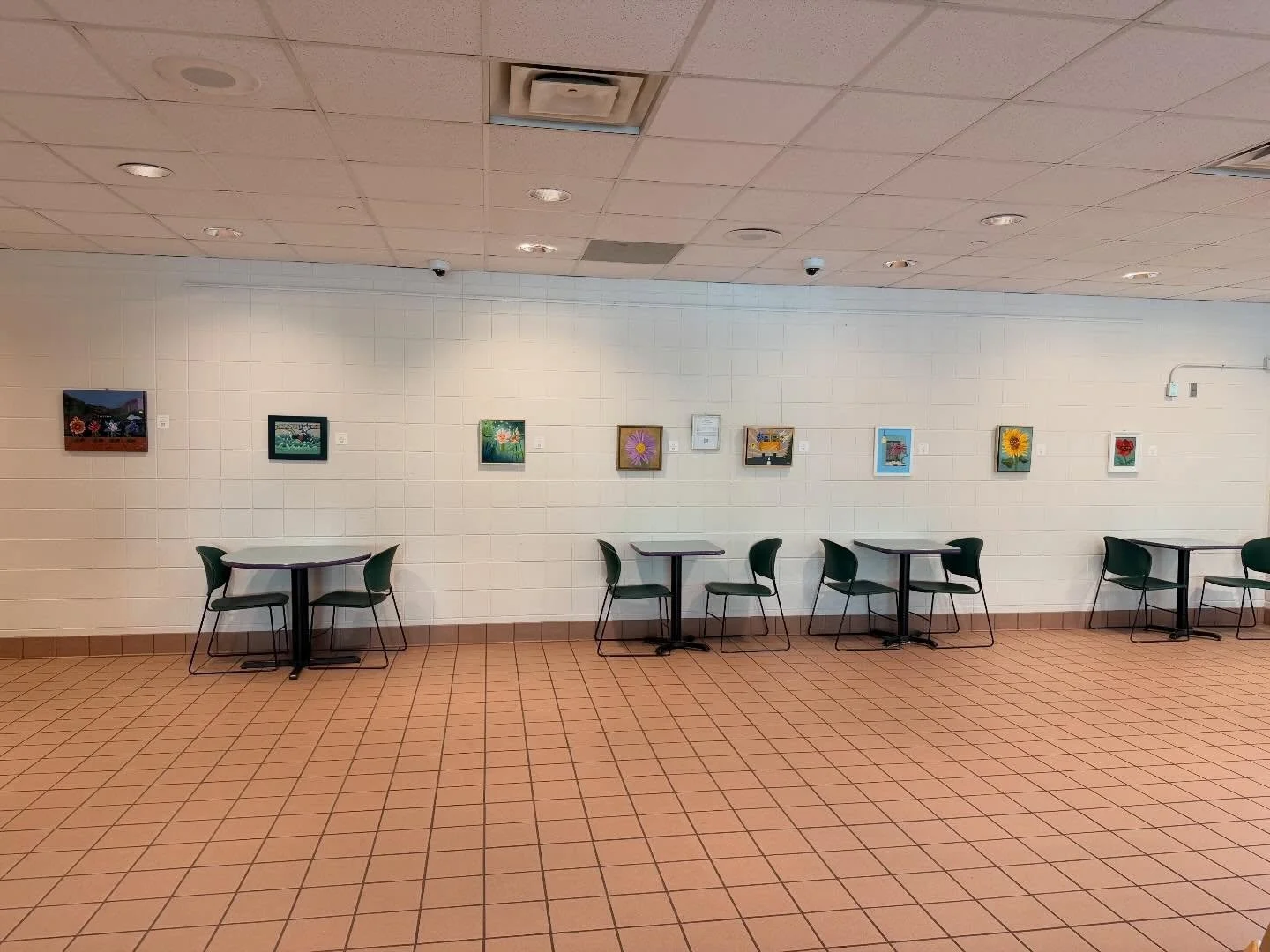 Some of my paintings on display this month at the East Boulder Community Center #bouldercolorado #felicitysflowercharacters #tuckerfelicity
