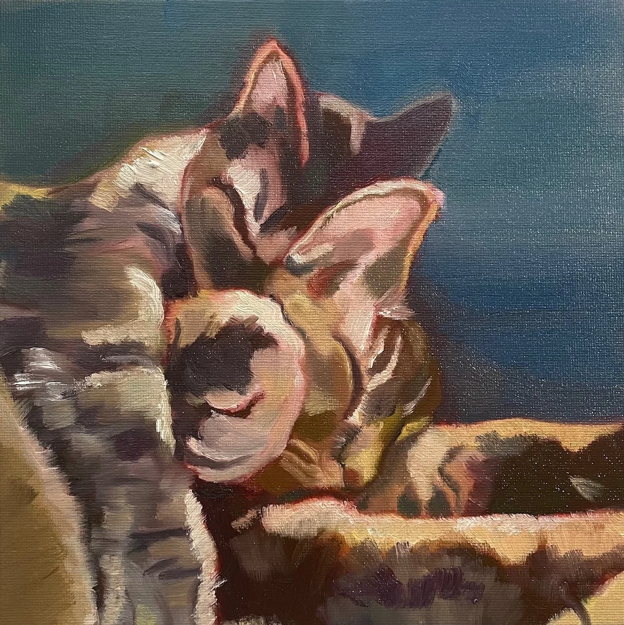 Tucker-Felicity-Oil-Rex and Pearl.jpg