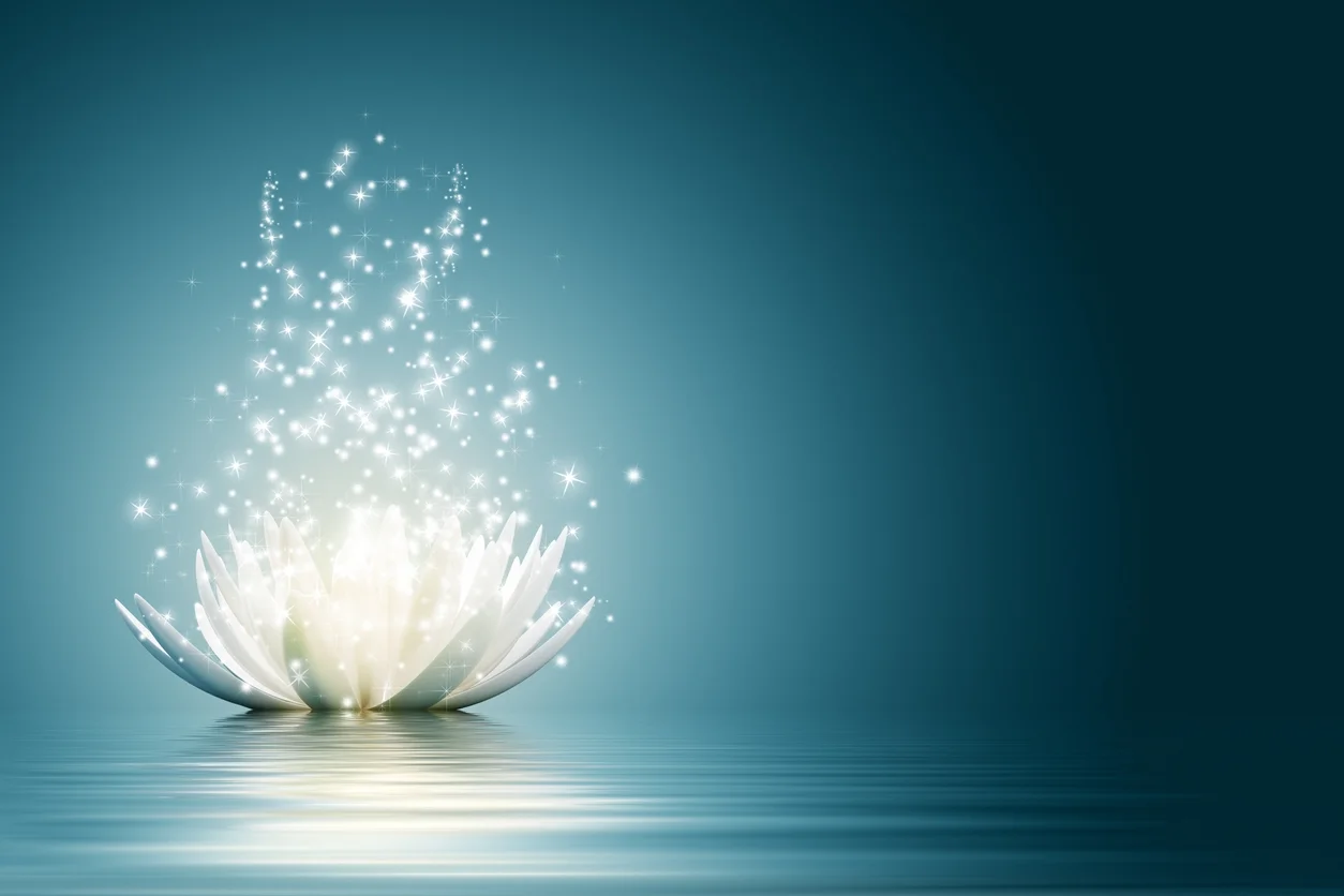 Lotus-white-485311083.jpg