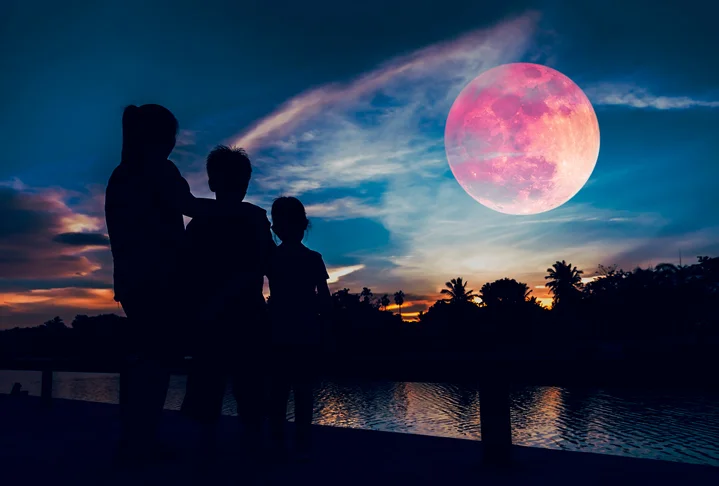iStock-990787534.jpg