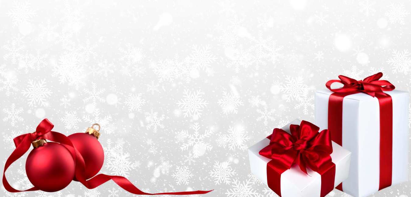 Holiday Web 2025 (1).png