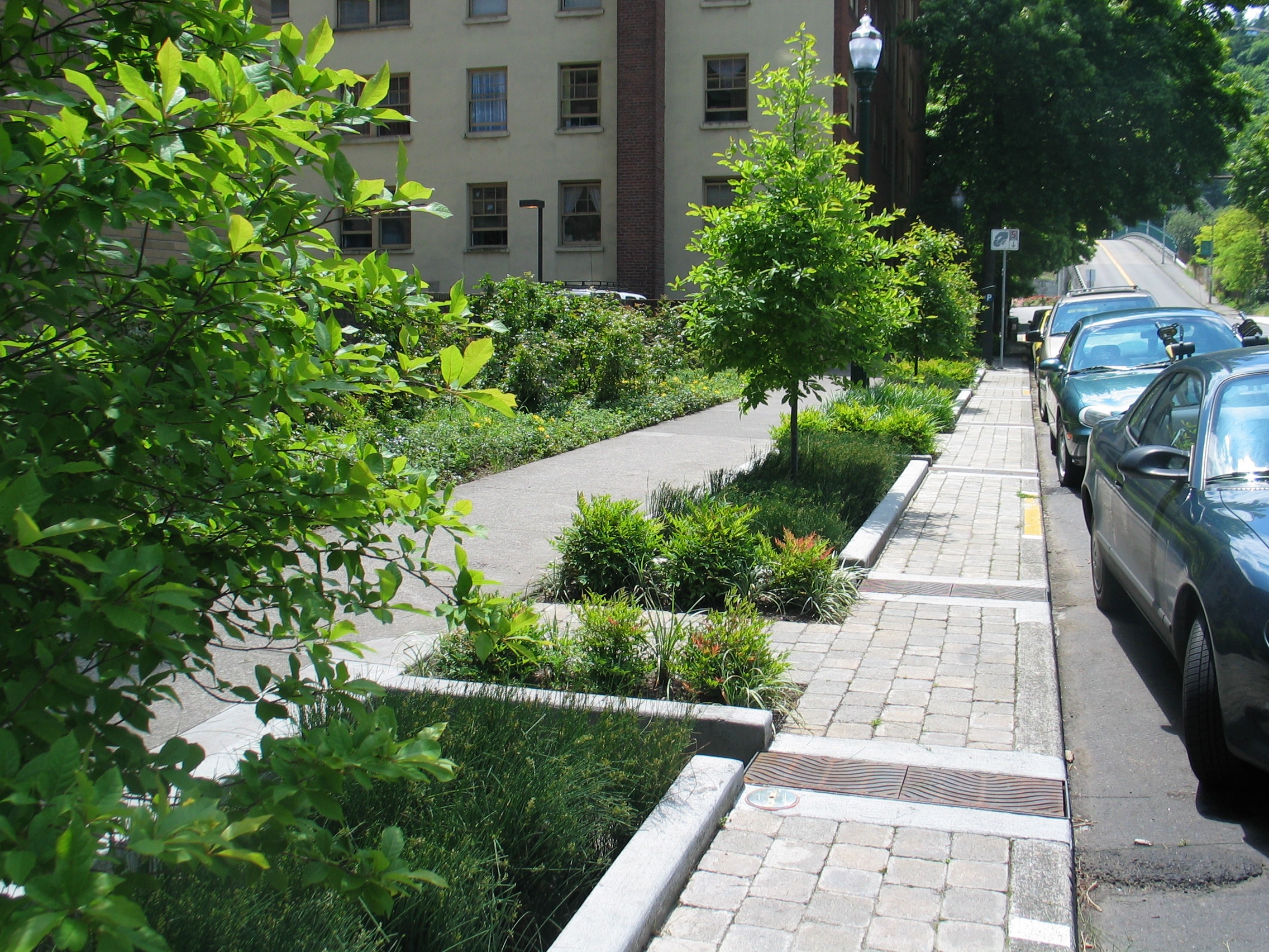 Green infrastructure is a great way to help armor urban centers against climate change.