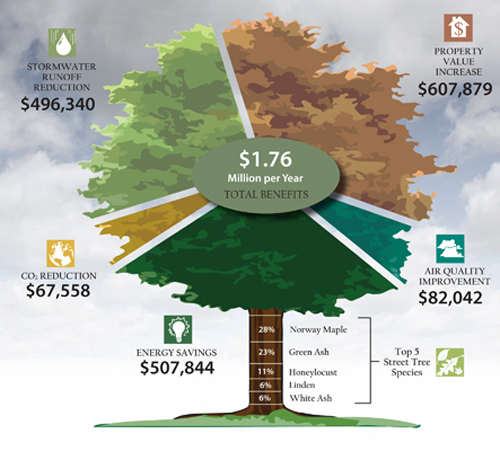 tree-chart-1.jpg
