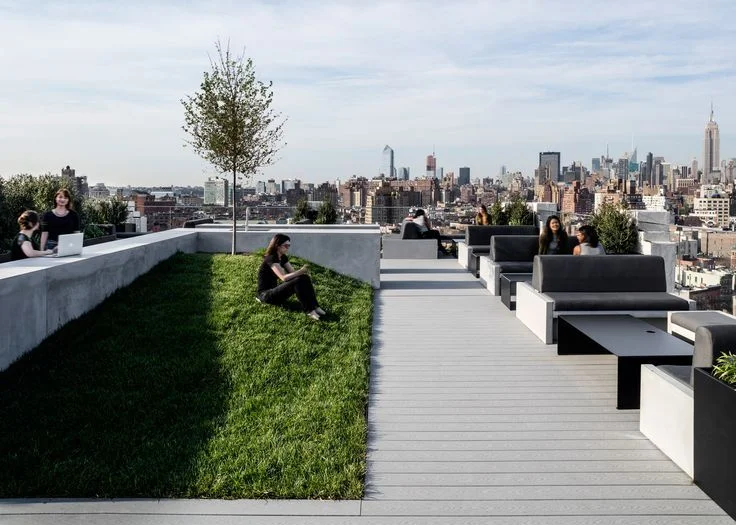 Workplace Rooftop.jpg