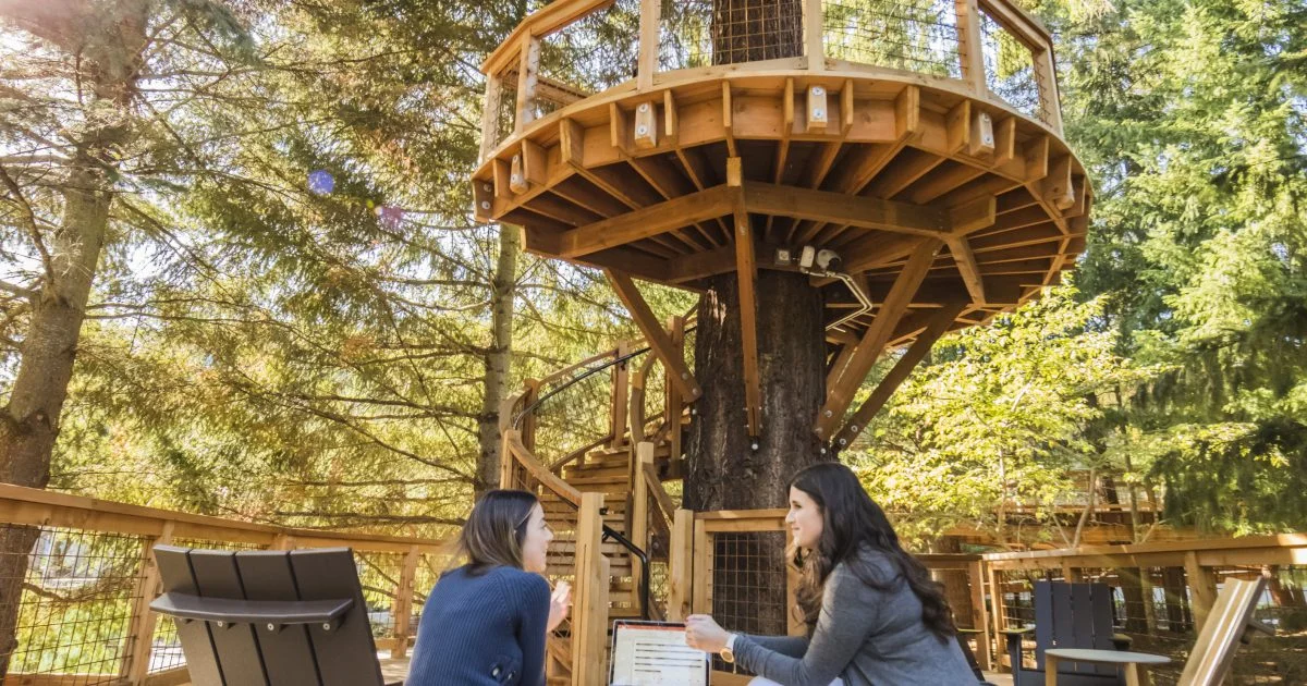 Microsoft Tree House.jpg