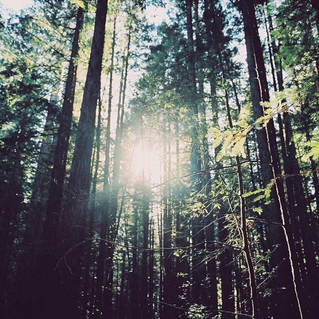 &ldquo;How do you find plot in character-driven stories? I find mine dragging in the middle and often struggle to know where to end or how to weave in more plot to find a good balance. Any advice on these things would be greatly appreciated!&rdquo;
.
My answer is this: You may not actually have a problem.
.
I teach in a graduate writing program at Hamline University in Minnesota, and so much of the advice I give to my students when I&rsquo;m reading their novels in progress&mdash;or even their outlines&mdash;is, &ldquo;Does all of this actually have to happen? What if we took this and this and this away?&rdquo; I love to open up space in a novel, to have time in it for characters to reflect and fully inhabit their worlds.
.
If you&rsquo;re writing a character-driven novel and you become overly worried about a traditional idea of plot&mdash;that it&rsquo;s a series of causal actions and events, building in tension and leading to a *big event*, a truly climactic moment&mdash;you risk los