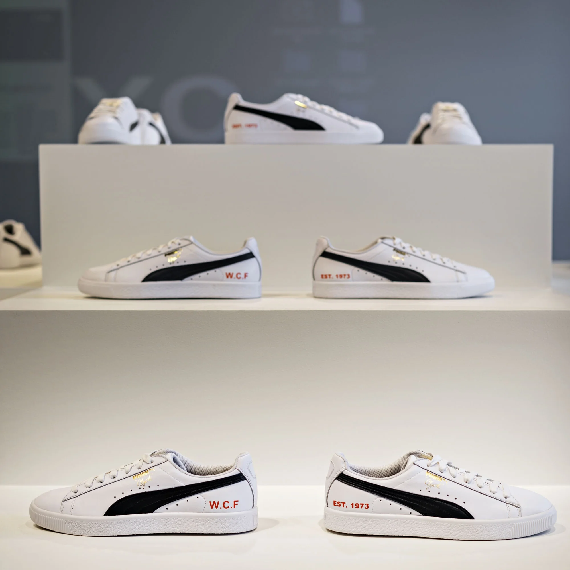 puma_clyde_1012.JPG