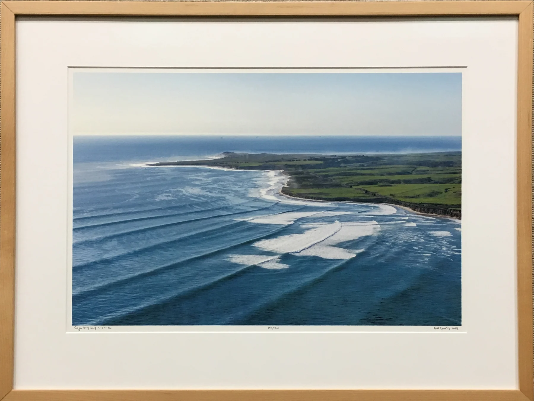 Cojo Big Surf, 2-24-16