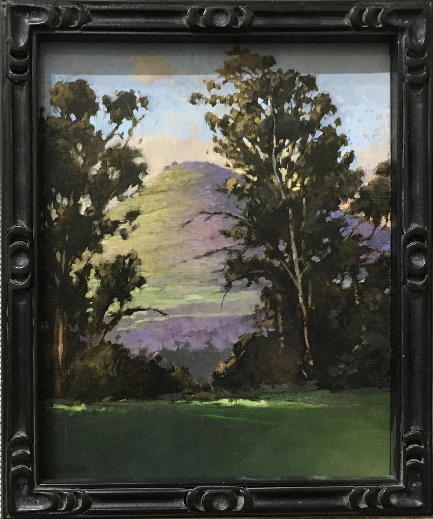Late Light at the Ranch