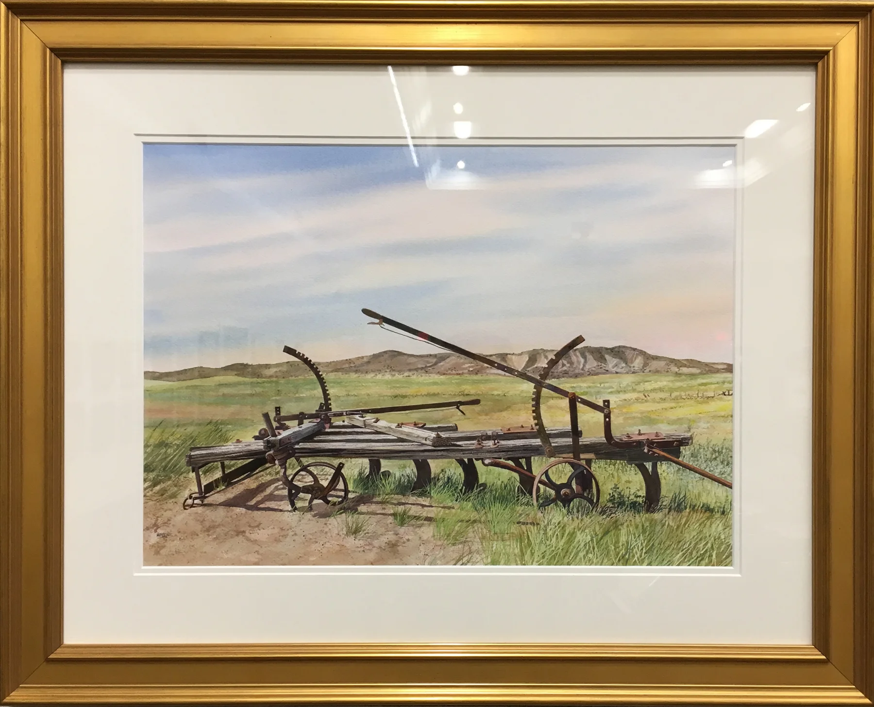 Working History, Carrizo Plain