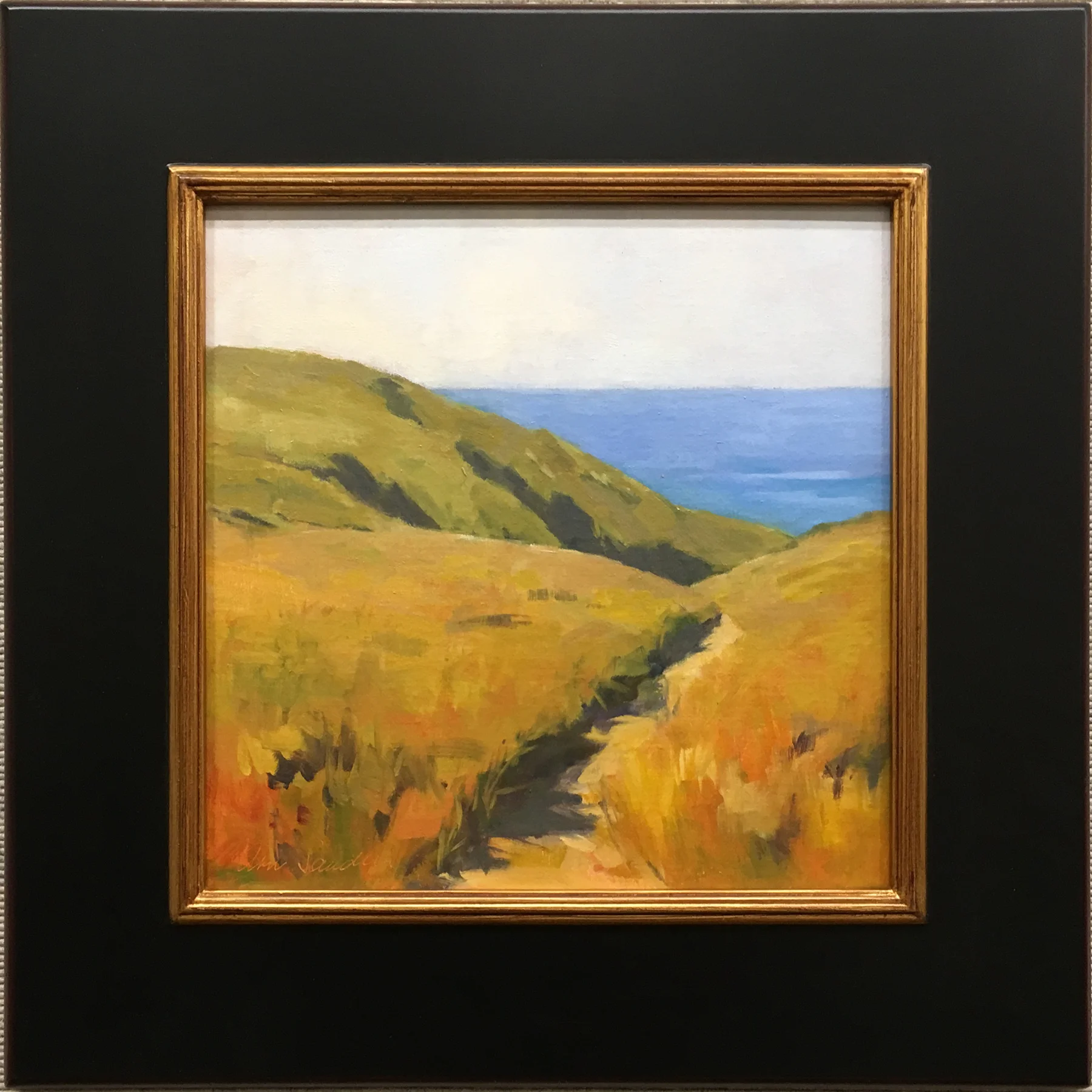 Santa Cruz Island Path