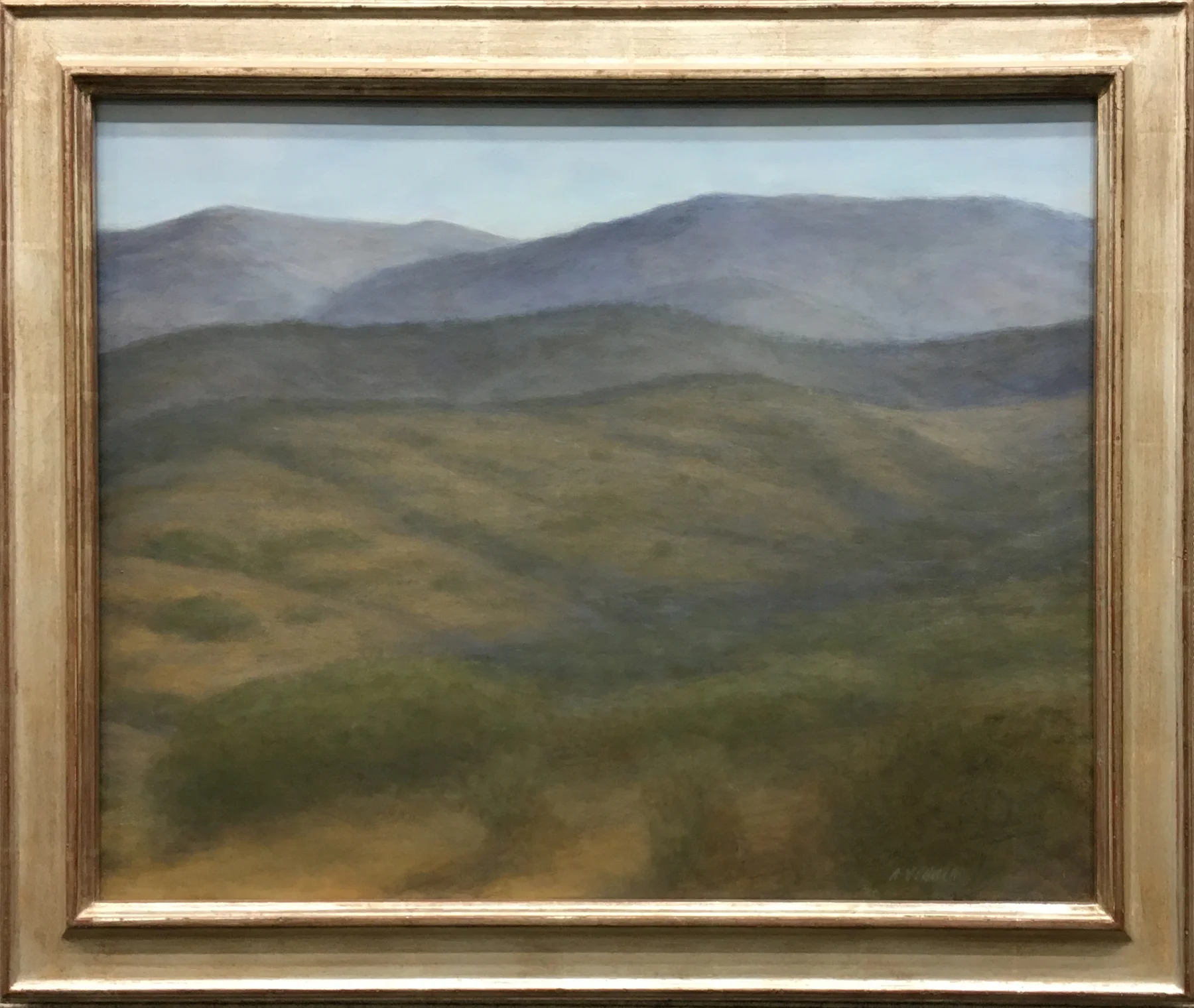 Evening in the Foothills