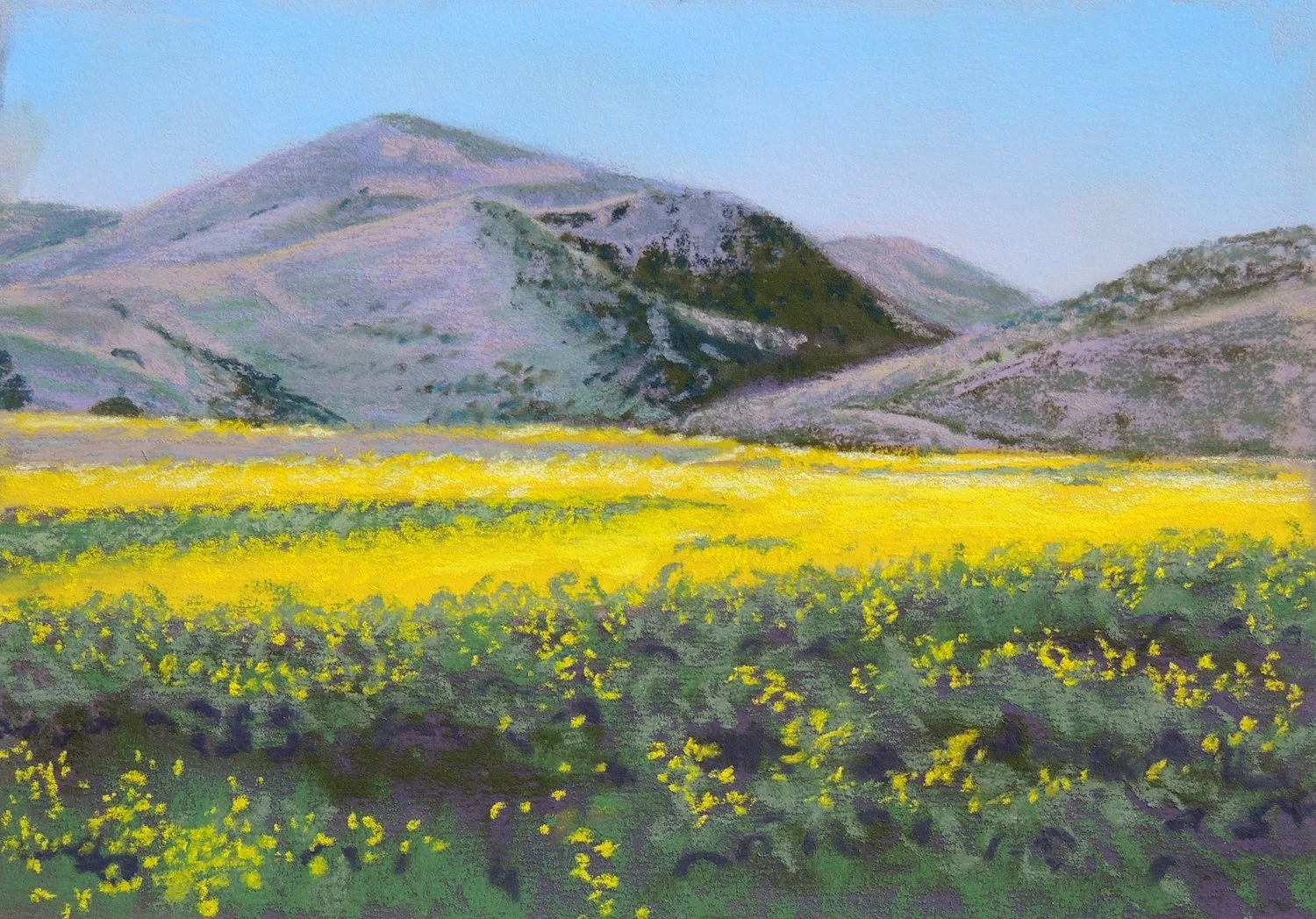 El Capitan Foothills, #26 SOLD