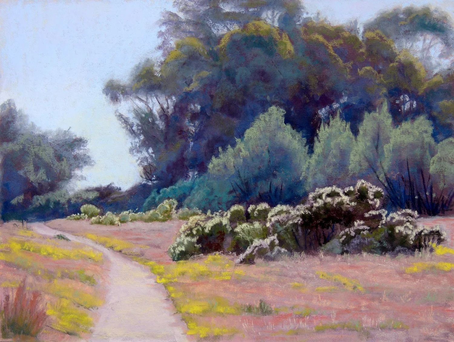 Coyote Bush at the Bluffs, #27