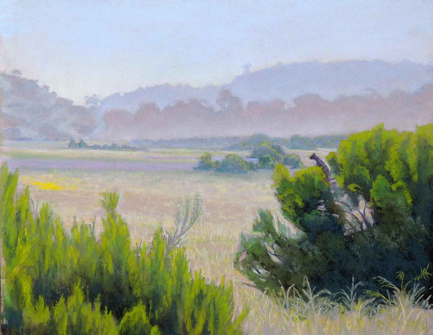 More Mesa Lookout, #29