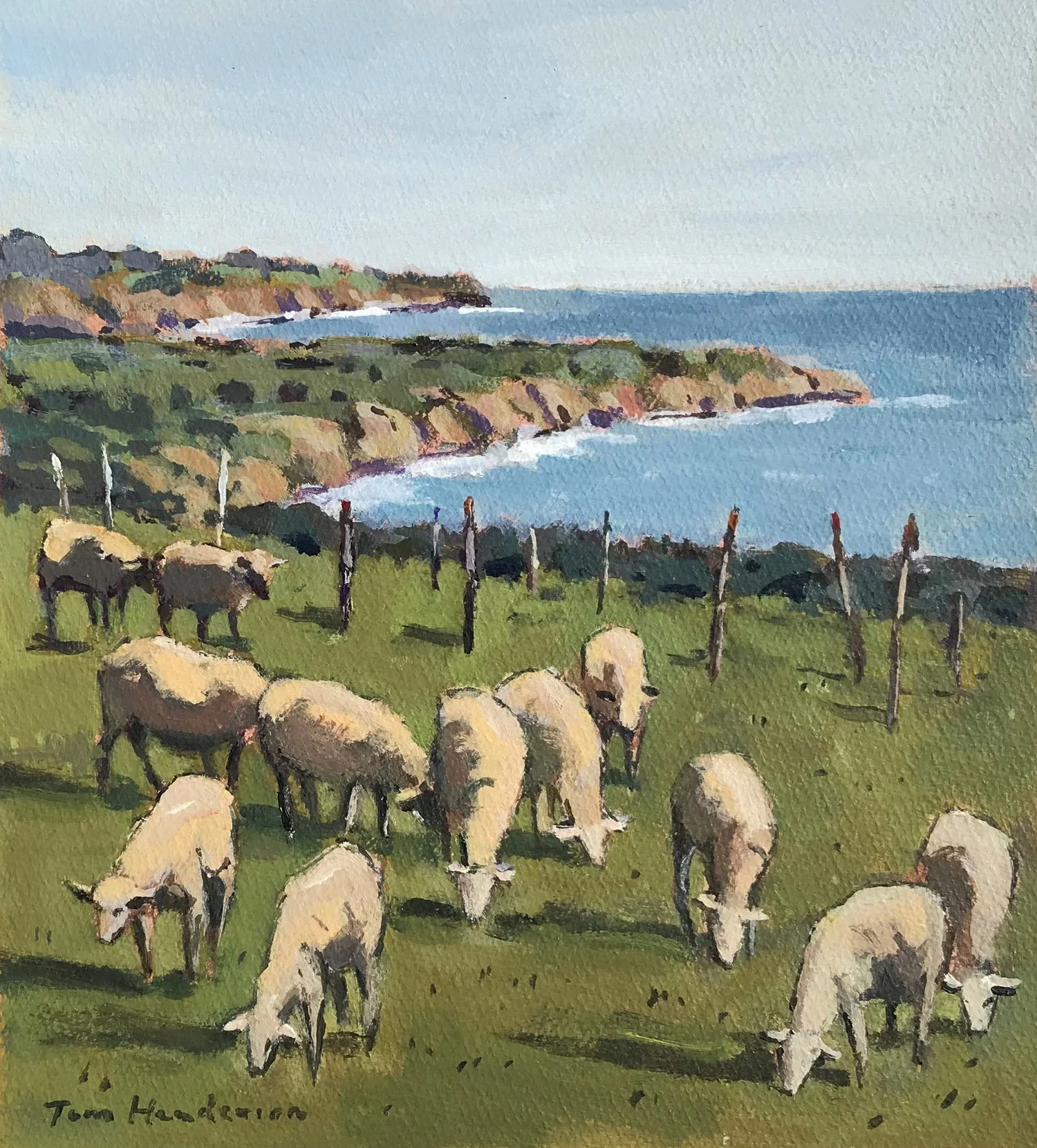 Grazing Sheep at El Capitan Ranch, #45 SOLD