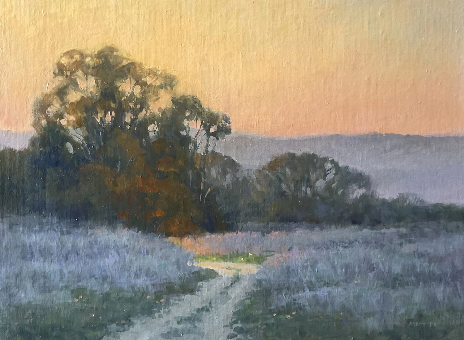 Sacred Land, #65