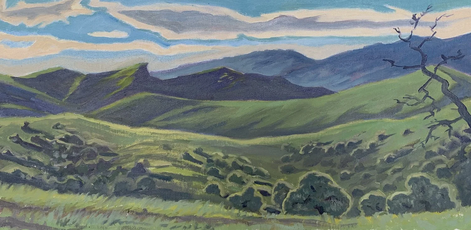 Gaviota Foothills, #67