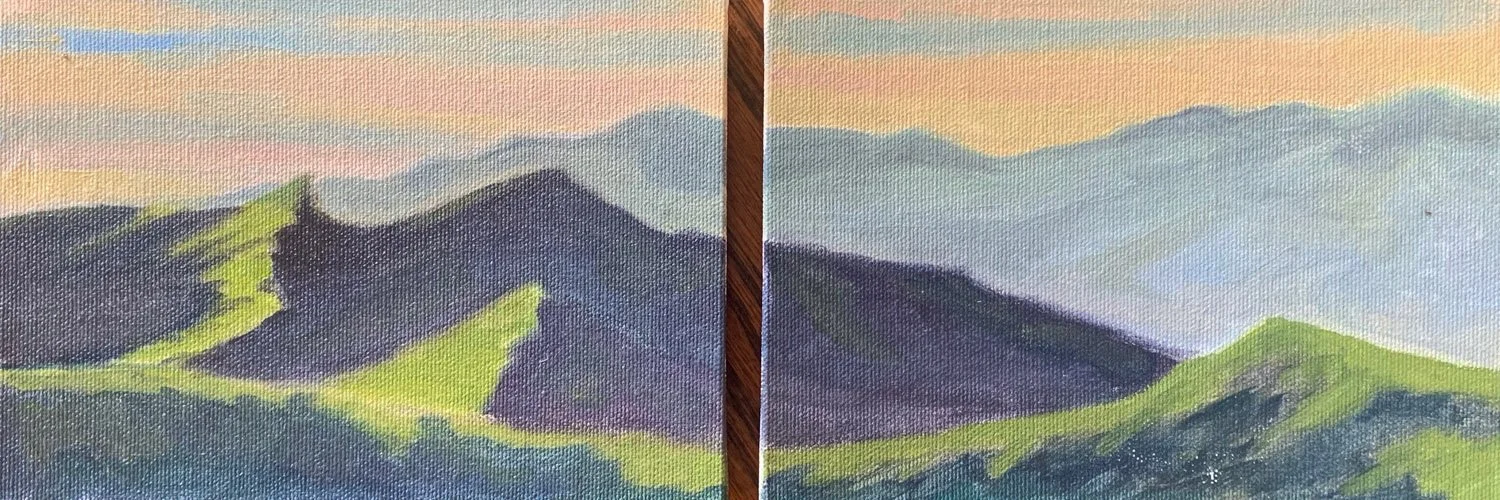 Venadito Canyon Diptych, #68