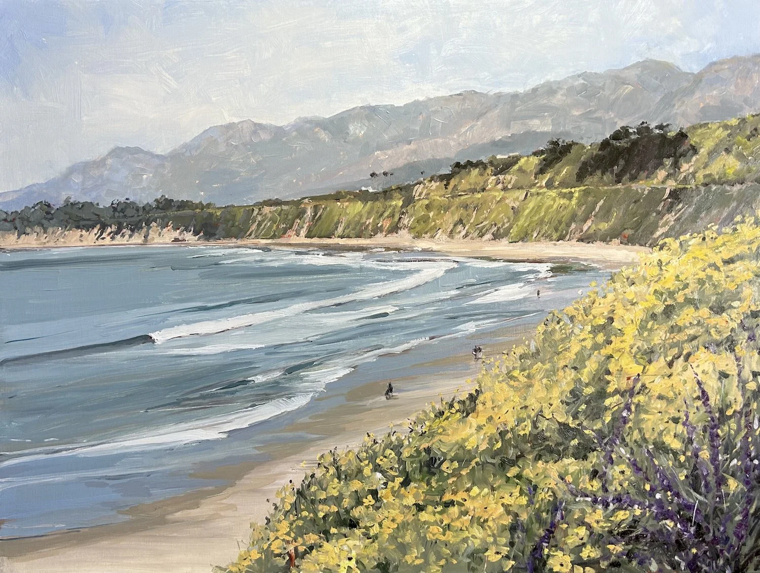 Spring at Ellwood Beach, #71