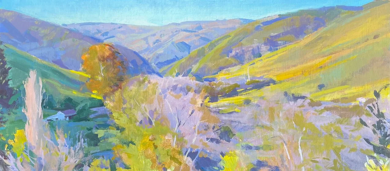 Late Sun Arroyo Hondo, #9