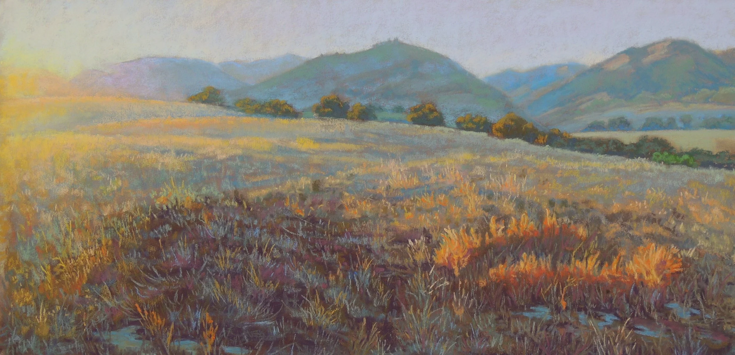 Glow of Sunset Grasses