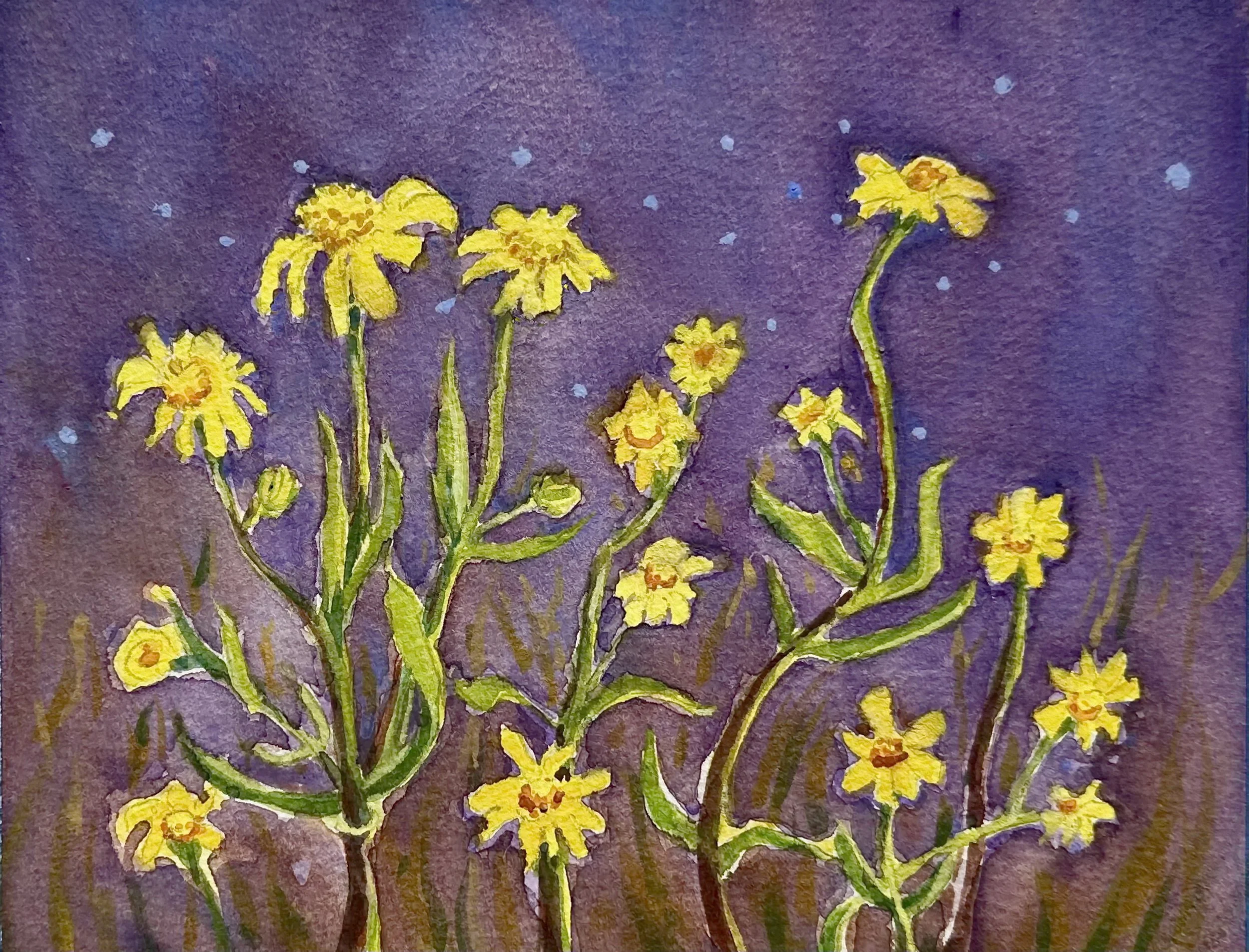  Coulter's Goldfields, #19  Watercolor, 6x8 inches unframed, 6x8 inches framed, $500.00 