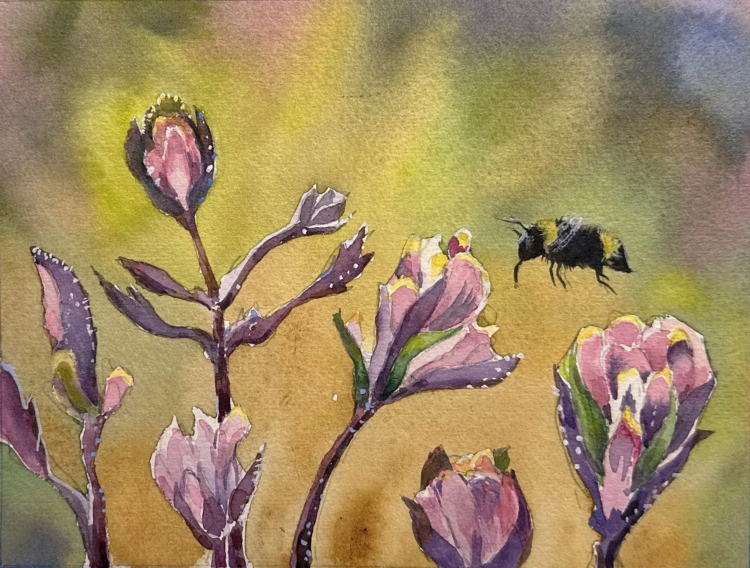  Bird's Beak and Bumblebee Natives, #20  Watercolor, 6x8 inches unframed, 6x8 inches framed, $500.00 