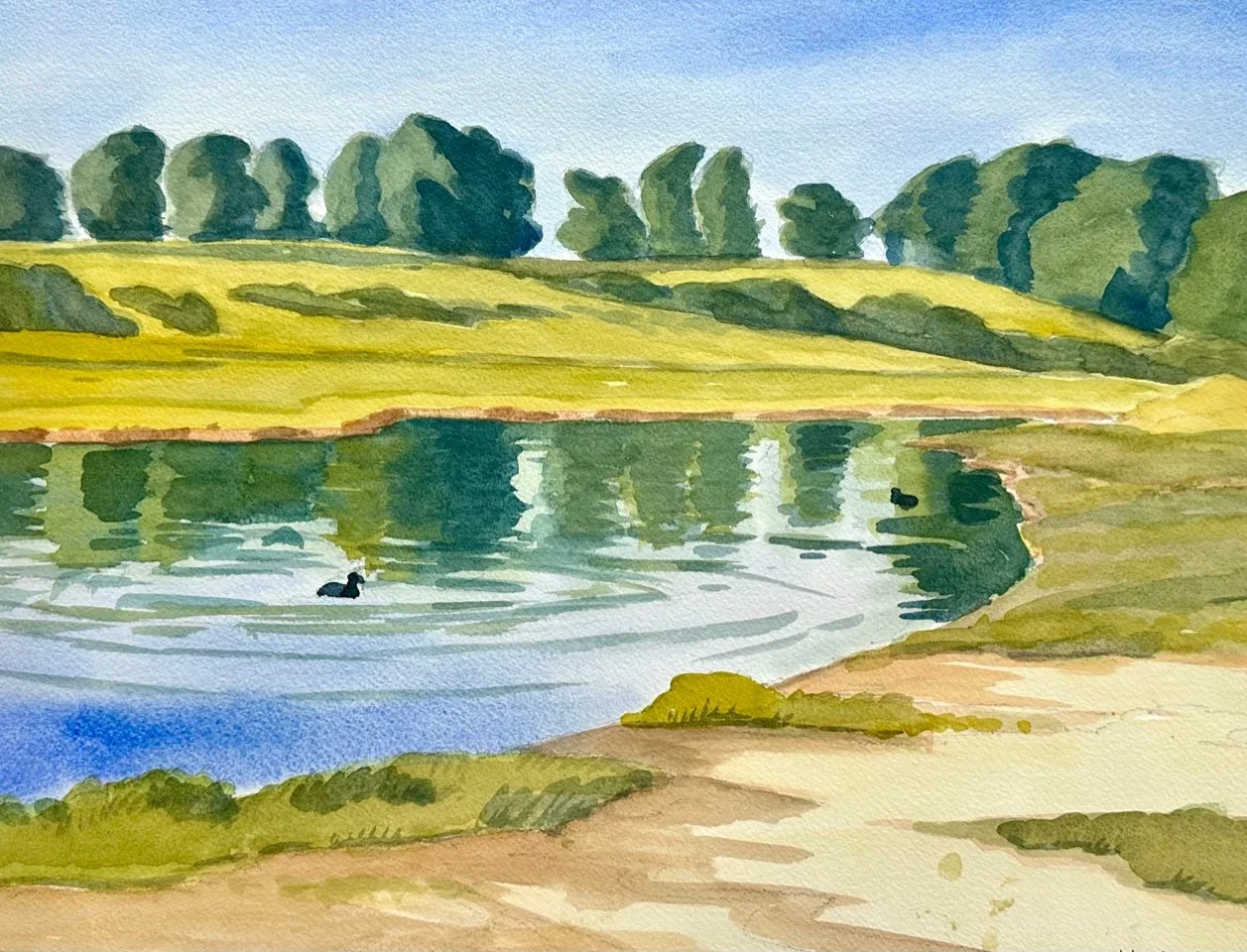 Morning Calm, #63  Watercolor, 12x16 inches unframed, 19x23 inches framed,  $1,100.00