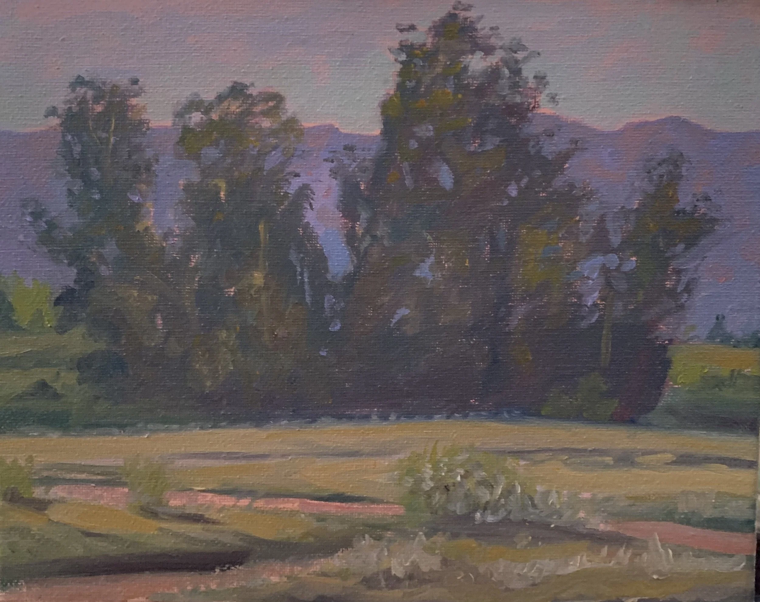 Eucalyptus Grove, #73  SOLD   Oil, 8x10 inches unframed, 14x17 inches framed, $800.00