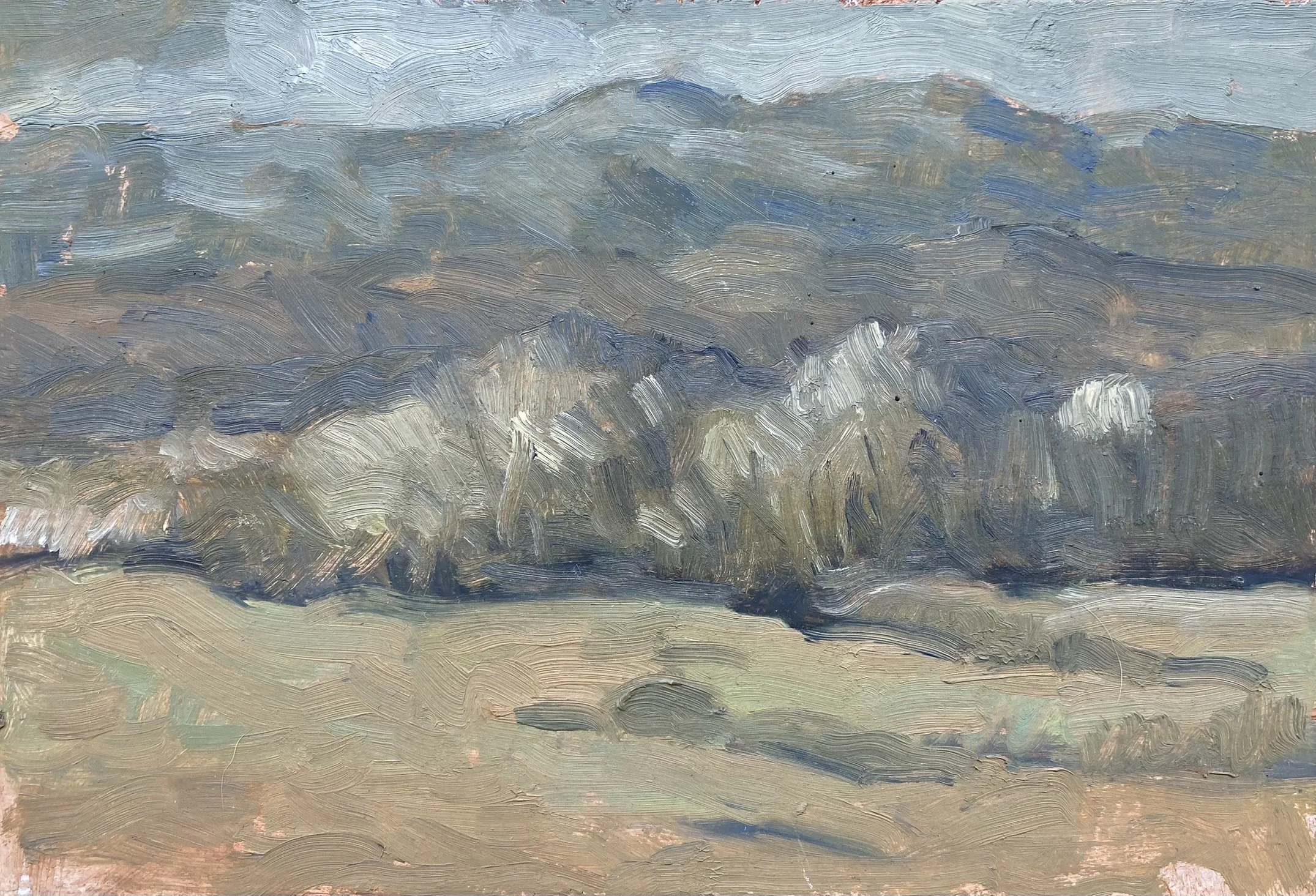  Poplars, #4  Oil on Board, 6x9 inches unframed, 10x13 inches framed, $1,100.00 