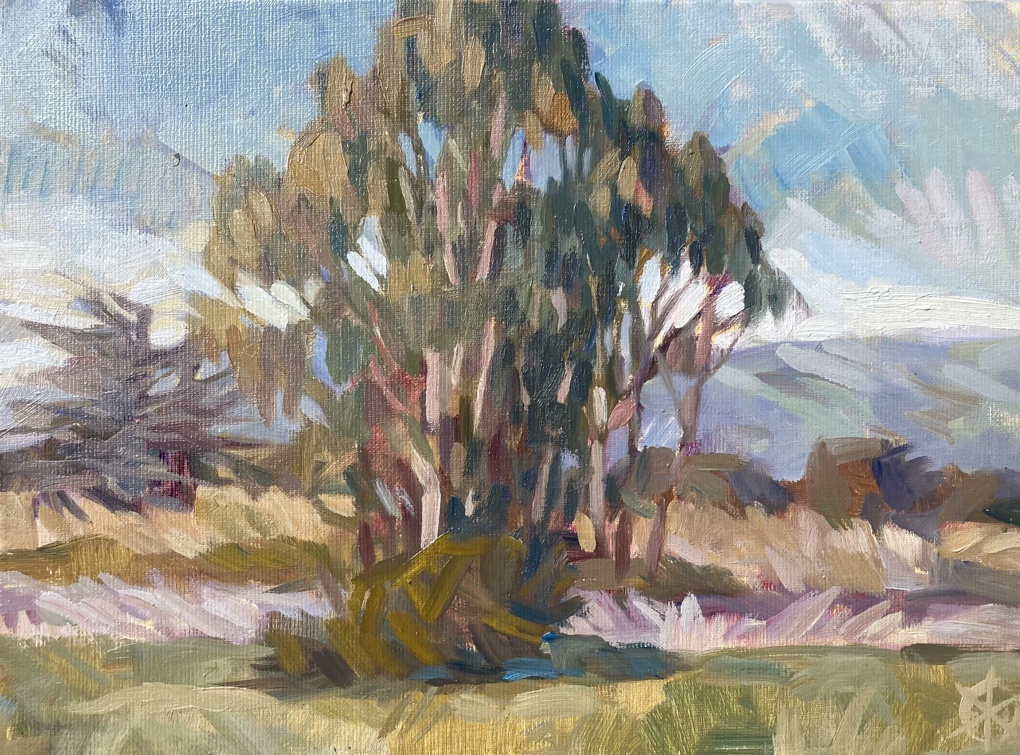  Whitney Brooks Abbott, #11  Grove, Oil on linen, 9x12 inches unframed, 13x16 inches framed, $1,400.00 