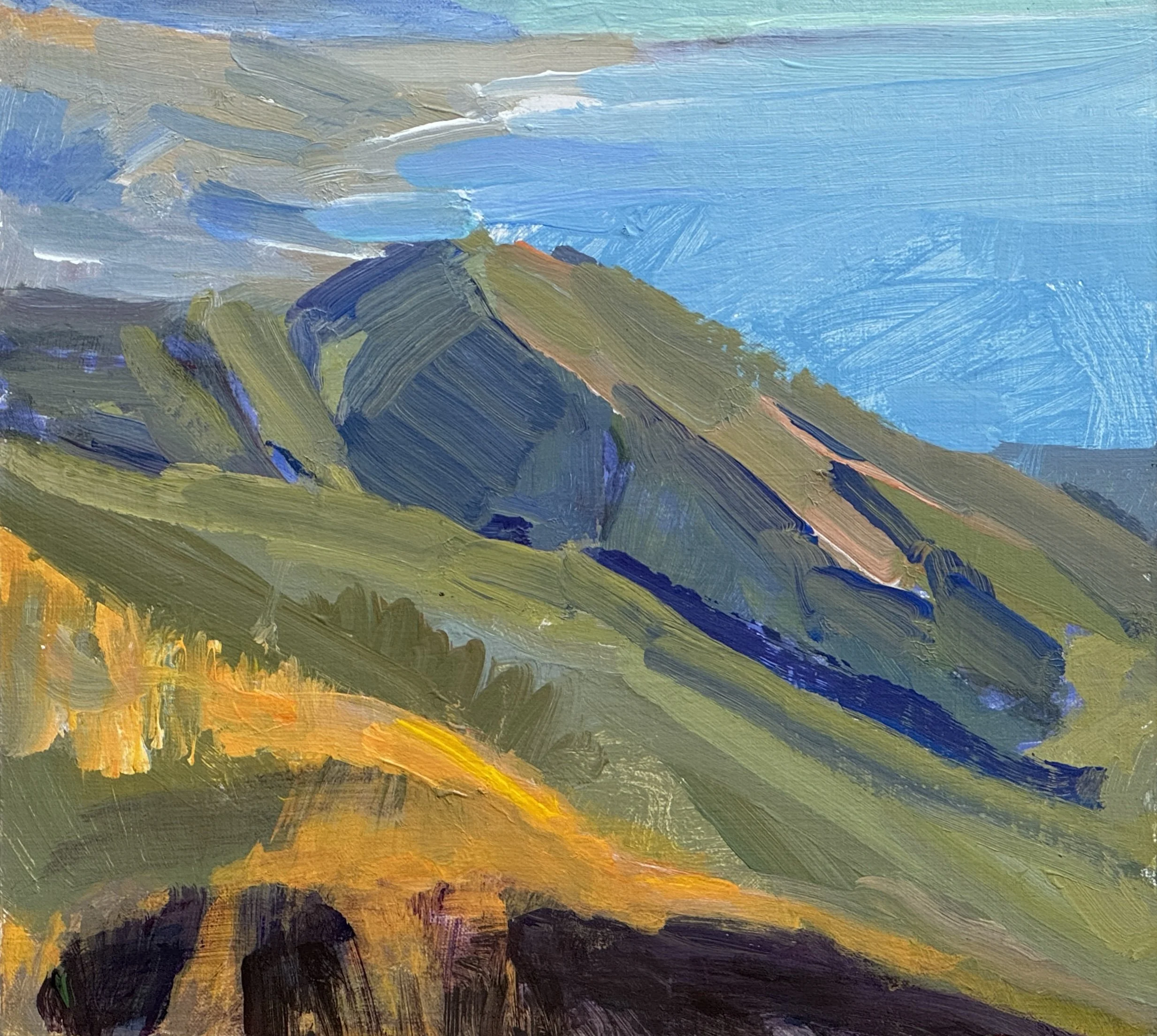  From Camino Cielo, #17  Acrylic on linen, 9x10 inches unframed, 17x21 inches framed, $950.00 