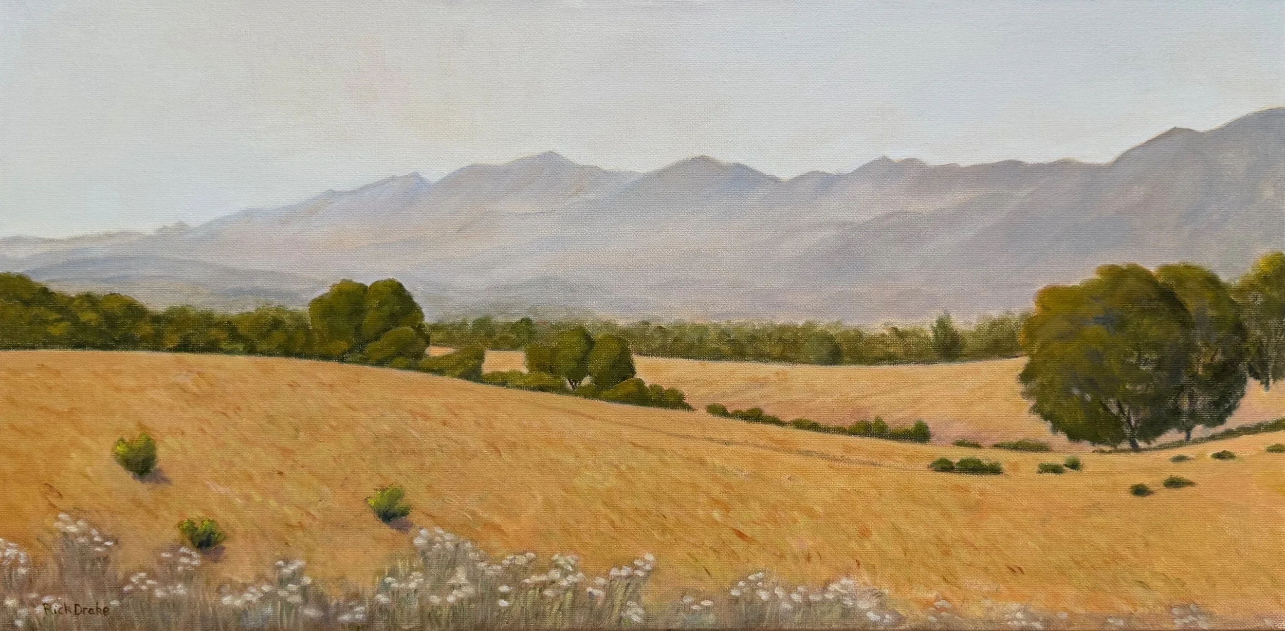  Summer Afternoon, #24  Oil on canvas, 12x24 inches unframed, 15x27 inches framed, $1,000.00 