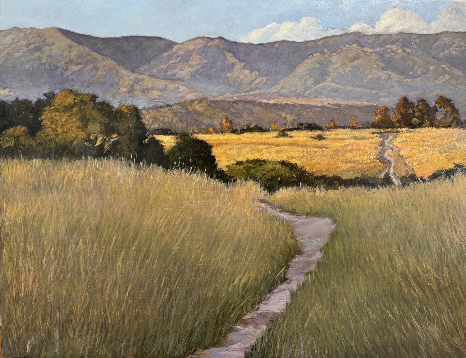  More Mesa Golden Hour, #31  Oil, 11x14 inches unframed, 13x16 inches framed, $1,900.00 