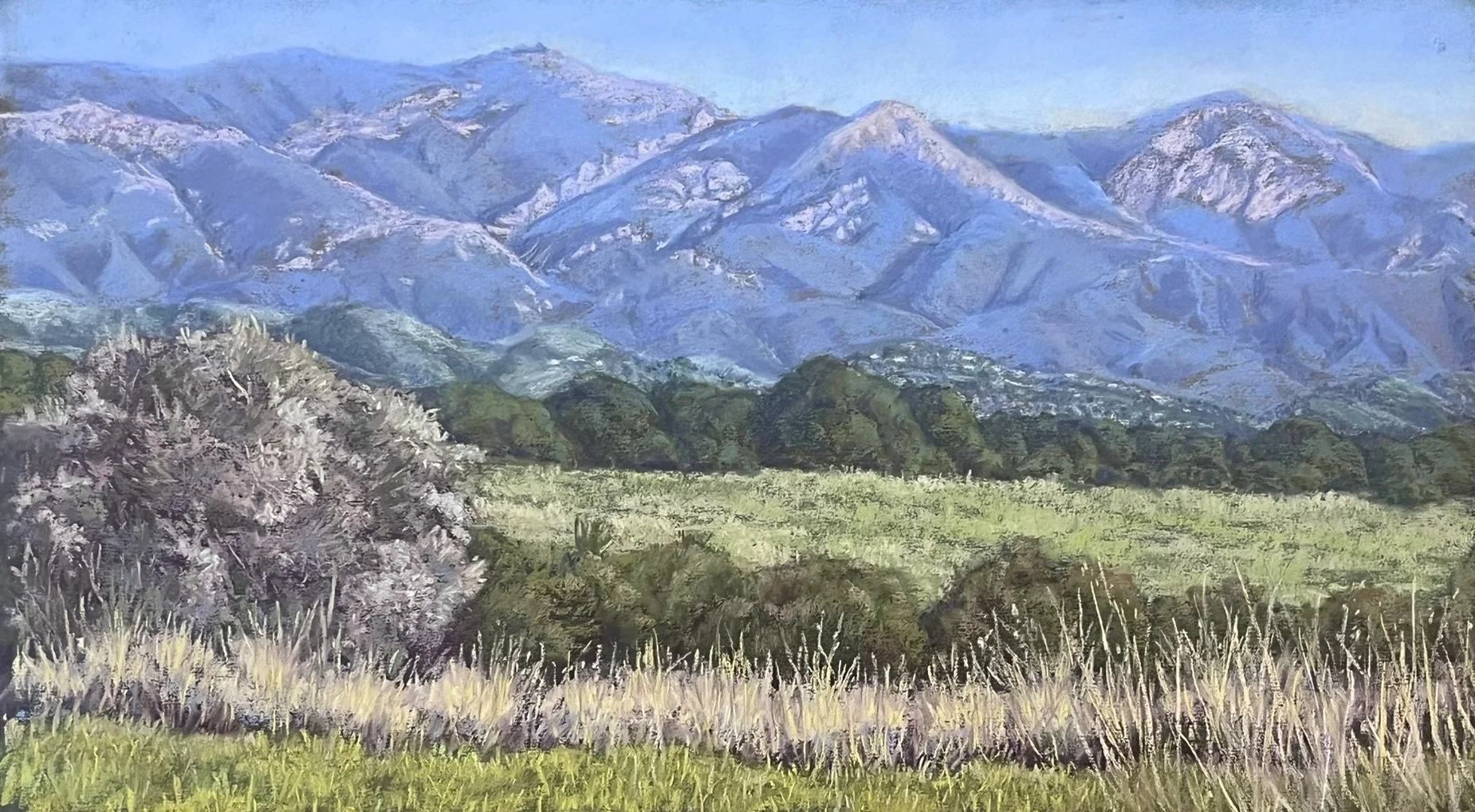  More Mesa Vista, #35  Pastel, 10x18 inches unframed, 15x23 inches framed, $900.00 
